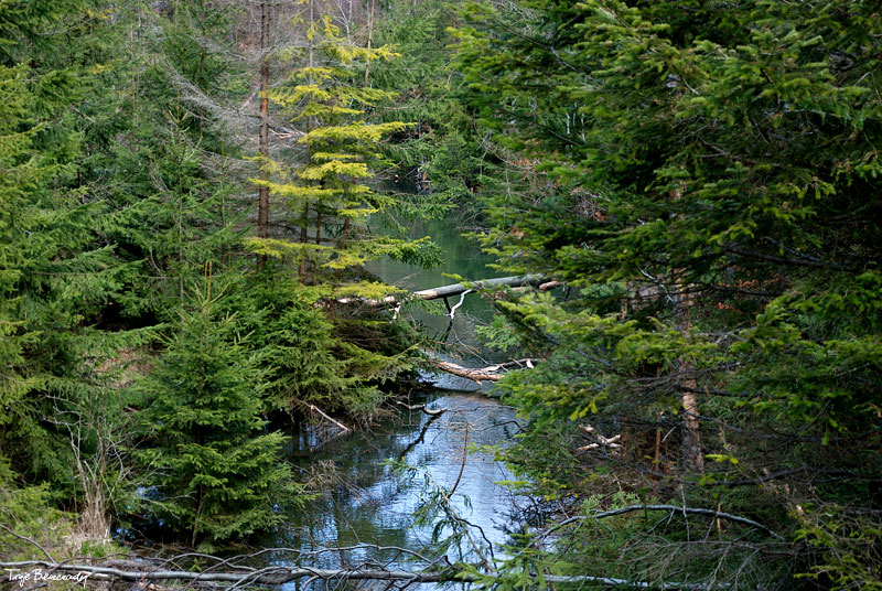 dolina g�rnego Sanu