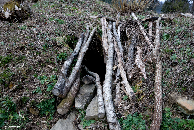 dolina g�rnego Sanu