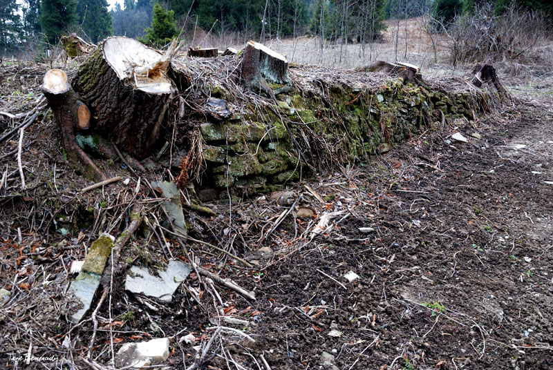 dolina g�rnego Sanu