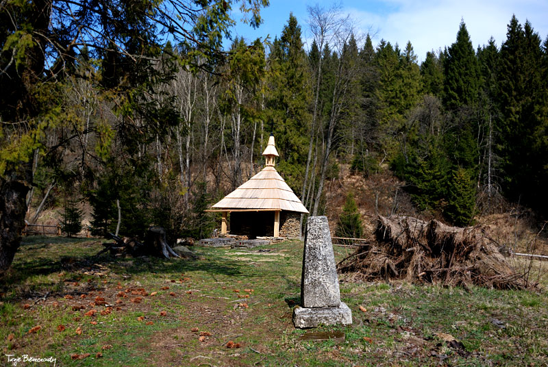 dolina g�rnego Sanu