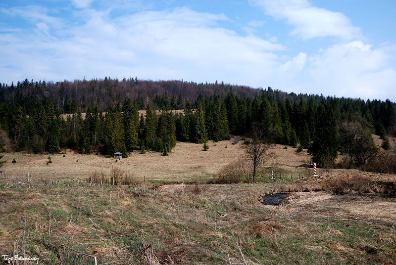 dolina g�rnego Sanu