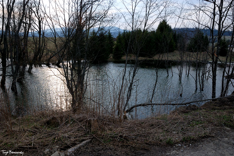 dolina g�rnego Sanu