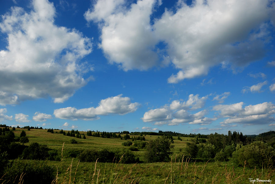 dolina g�rnego Sanu