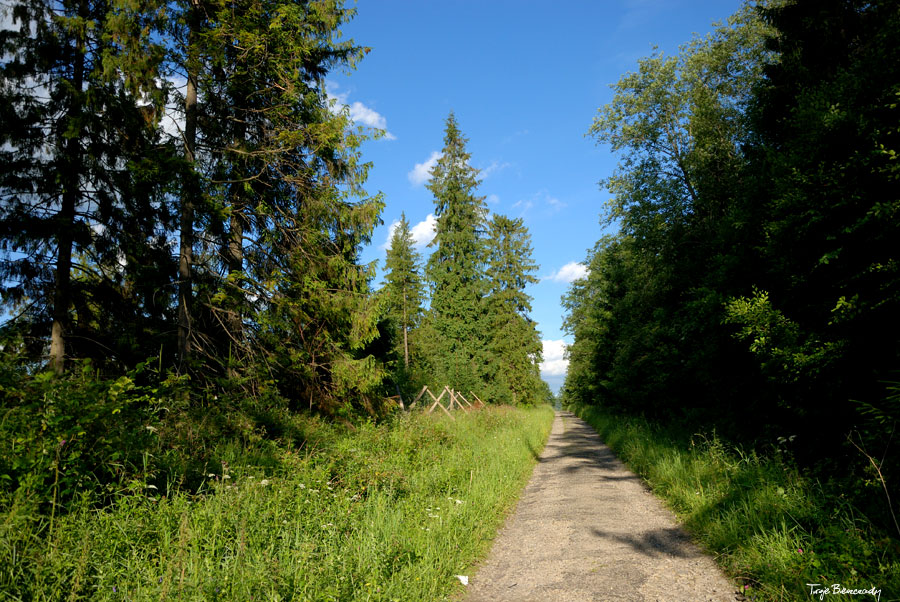 dolina g�rnego Sanu