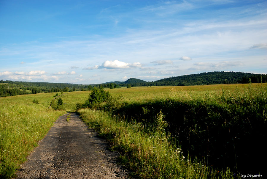 dolina g�rnego Sanu