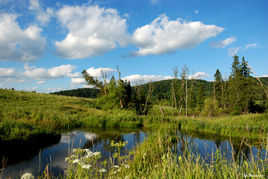 dolina g�rnego Sanu