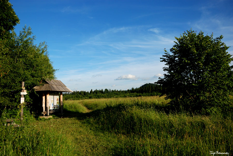 dolina g�rnego Sanu