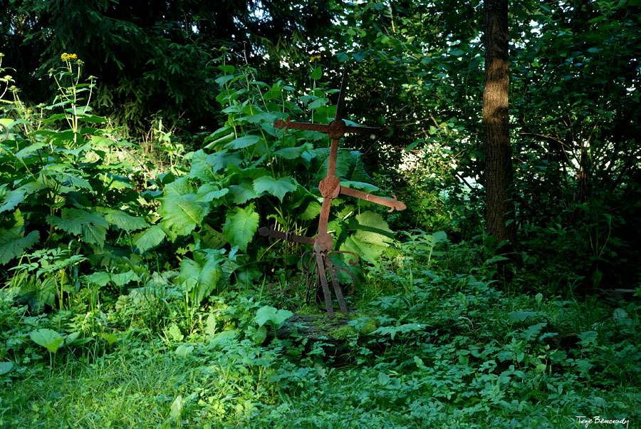 dolina g�rnego Sanu