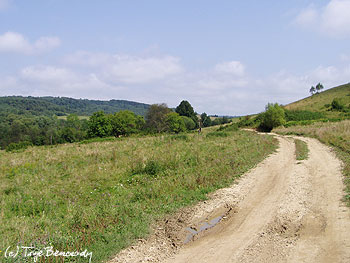 Paniszczów