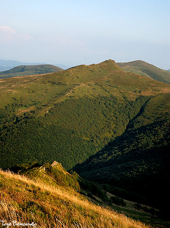 Widok z Bukowego Berda