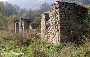 Tworylne, ruiny stodoły dworskiej