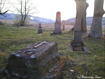 Dźwiniacz Górny - grób miejscowego parocha