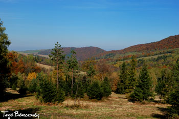 Tyskowa, widok z Hyrczy