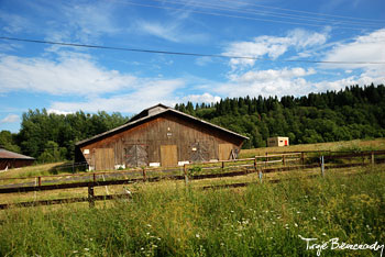 Stajnie - Tarnawa Niżna