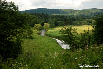 San, Tarnawy Niżna