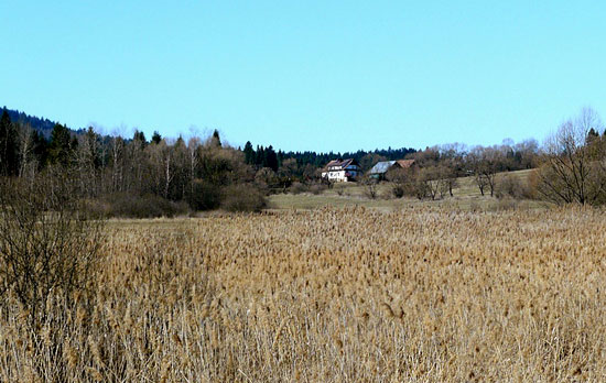 Żurawin agroturystyka